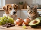 alimentos proibidos para pets