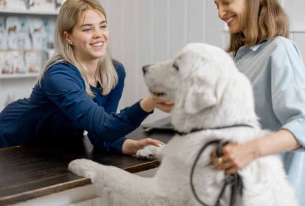 Bom atendimento ao cliente em clínica veterinária