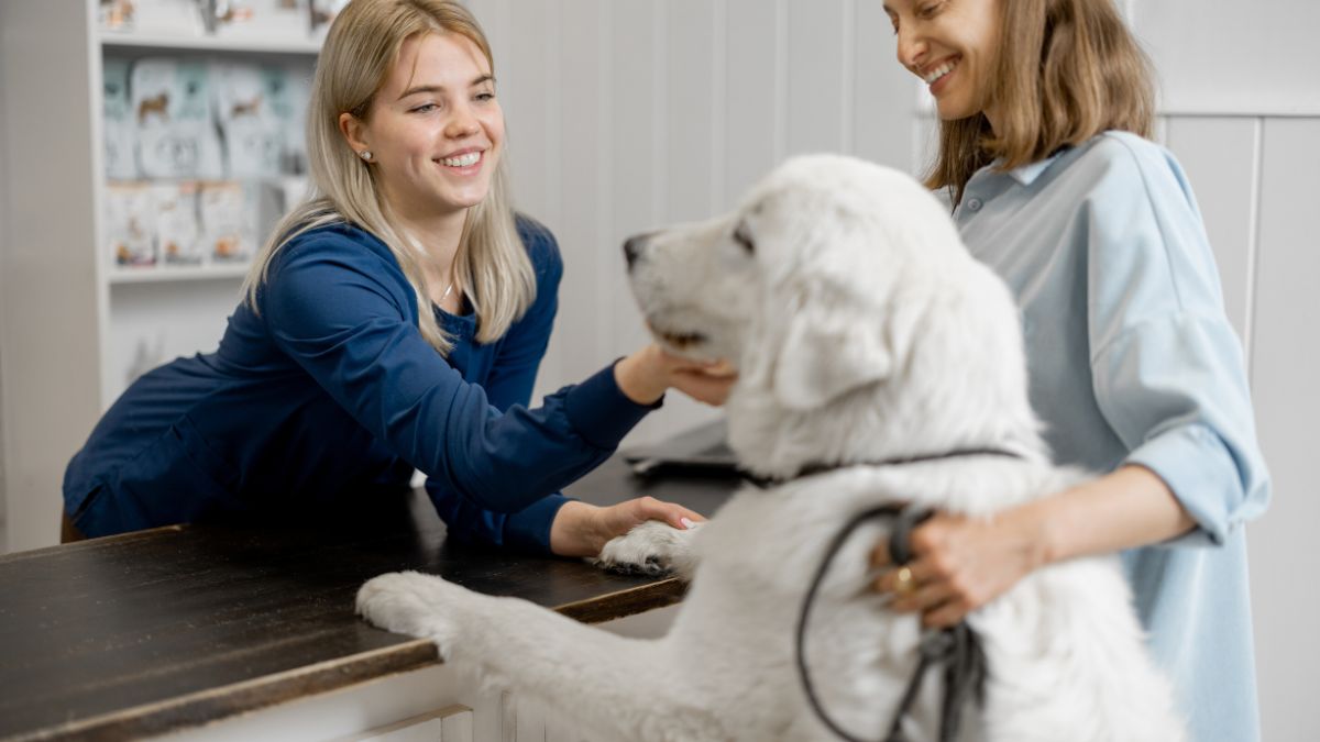 Bom atendimento ao cliente em clínica veterinária