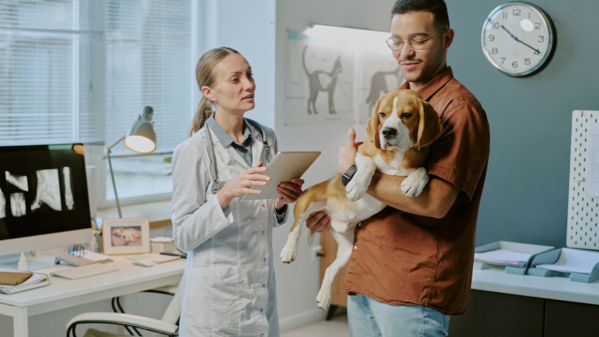Comunicação Interpessoal na Veterinária