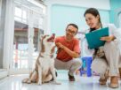 Satisfa&ccedil;&atilde;o do cliente na veterin&aacute;ria
