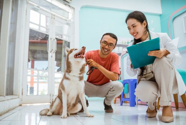 Satisfa&ccedil;&atilde;o do cliente na veterin&aacute;ria
